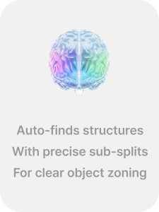 Automated segmentation 1