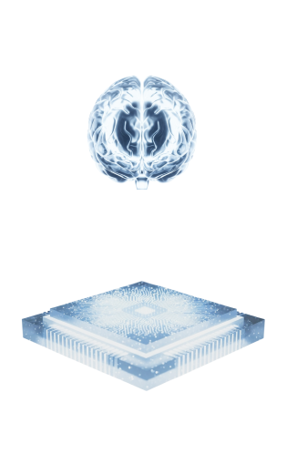 Brain analysis report