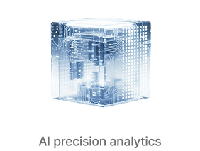 Brain structure analysis