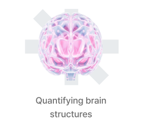 Brain structure analysis