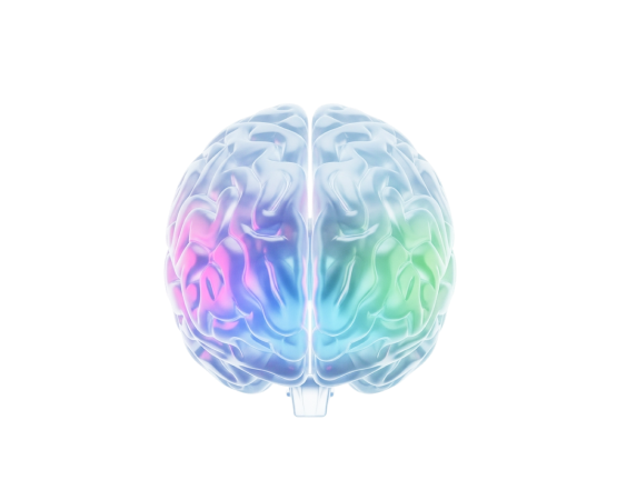 자동분할 구조구획