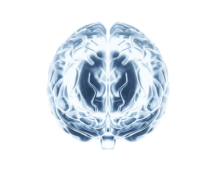 Brain analysis report 1